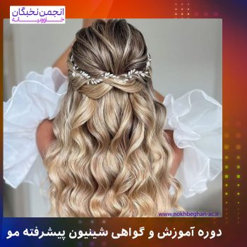 مدرک شینیون مو