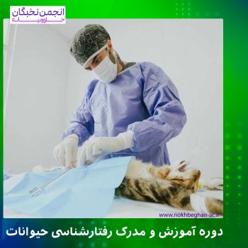 رقتار شناسی حیوانات