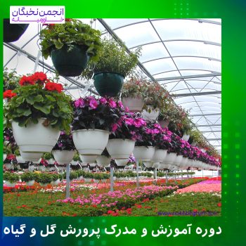 دوره آموزش و مدرک پرورش گل و گیاه