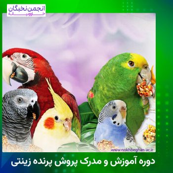 مدرک پرورش پرنده