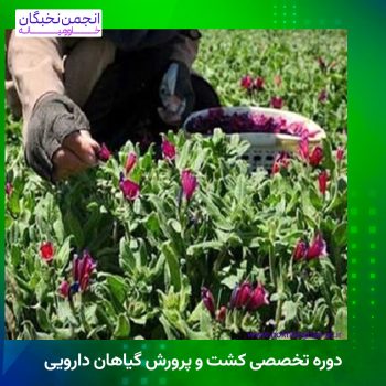 دوره تخصصی کشت و پرورش گیاهان دارویی با مدرک معتبر