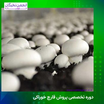 دوره پرورش قارچ