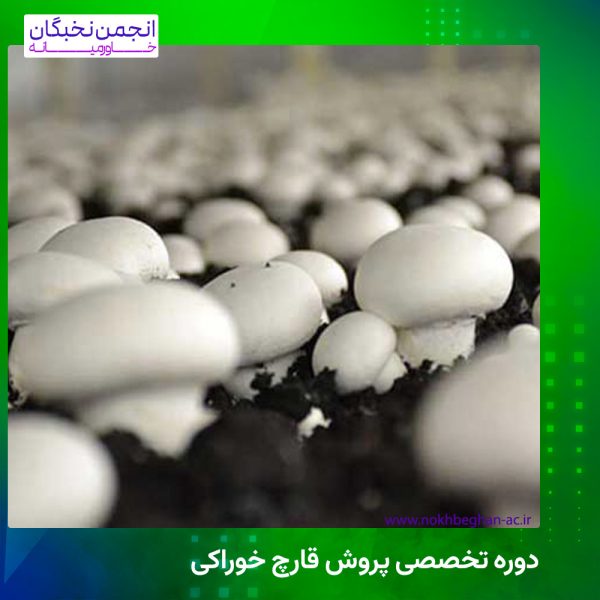 دوره پرورش قارچ